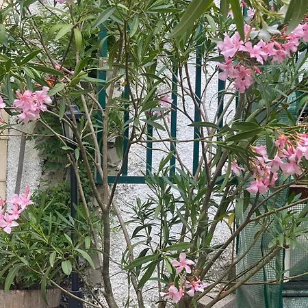 Privatzimmer בית אירוח *