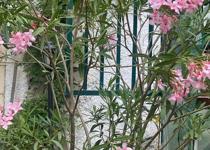 Privatzimmer Privat bolig *